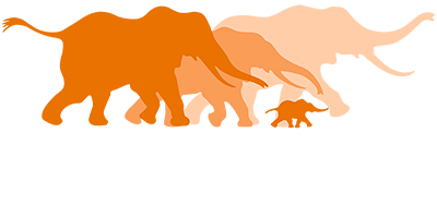 African Wildlife Foundation