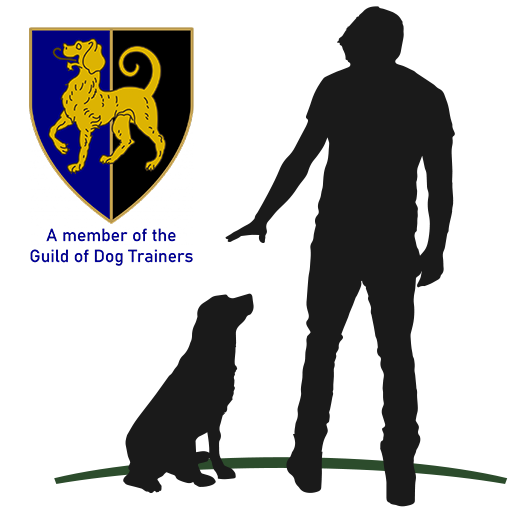 Dog rehabilitation Ian Cooper Dog Behaviourist